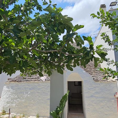 River Trulli Oasi Di Pace In Sito Unesco Alberobello Kültér fotó