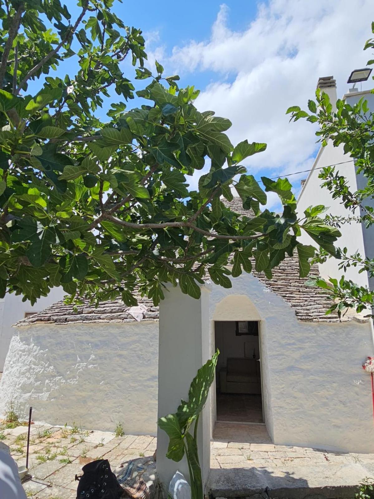 River Trulli Oasi Di Pace In Sito Unesco Alberobello Kültér fotó