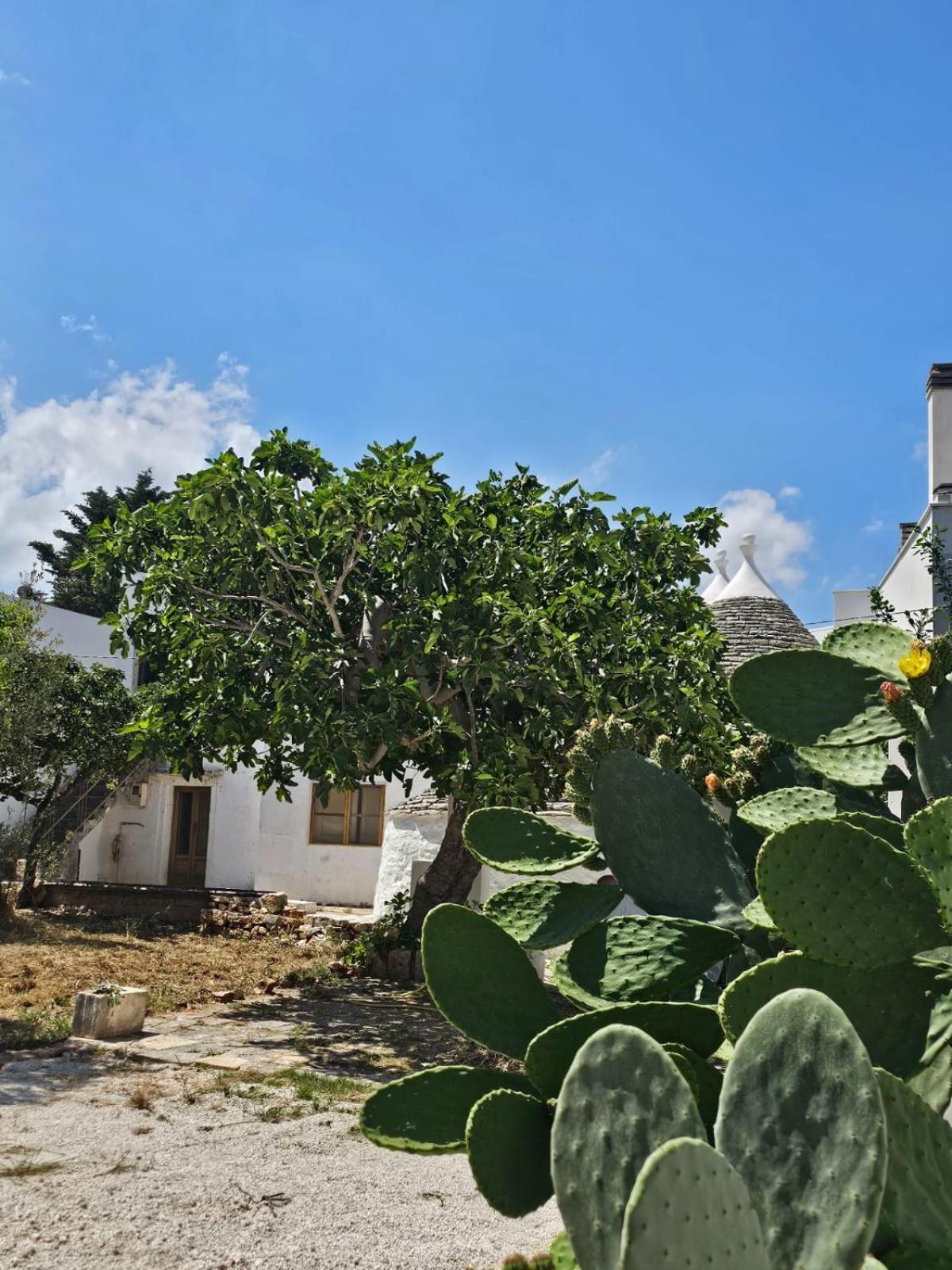 River Trulli Oasi Di Pace In Sito Unesco Alberobello Kültér fotó