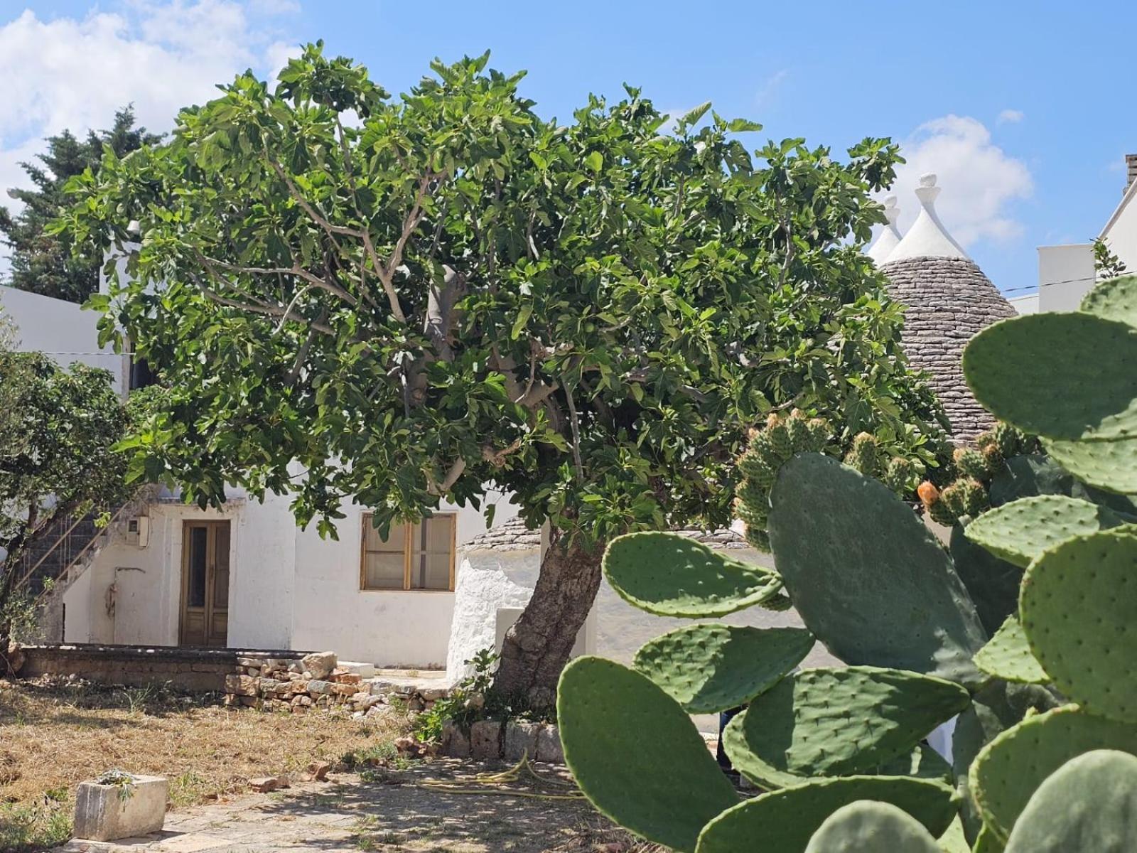River Trulli Oasi Di Pace In Sito Unesco Alberobello Kültér fotó