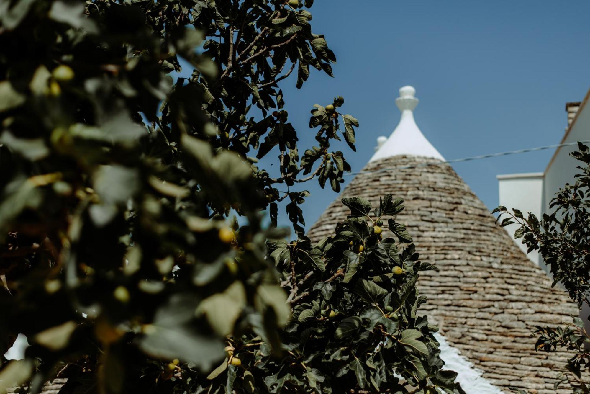 River Trulli Oasi Di Pace In Sito Unesco Alberobello Kültér fotó
